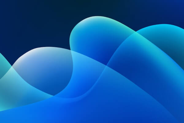 Services 07