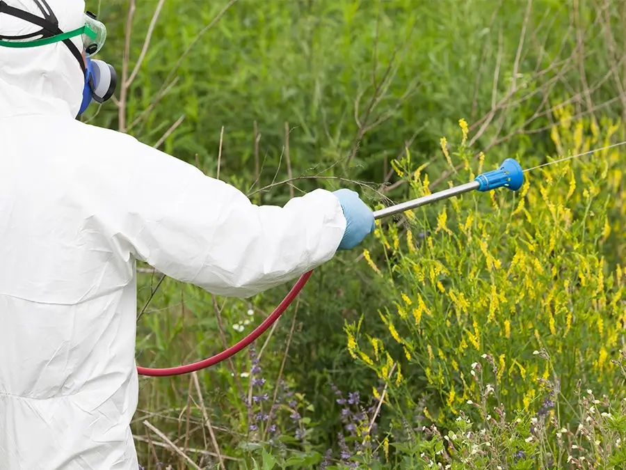 gpi man spraying herbicide